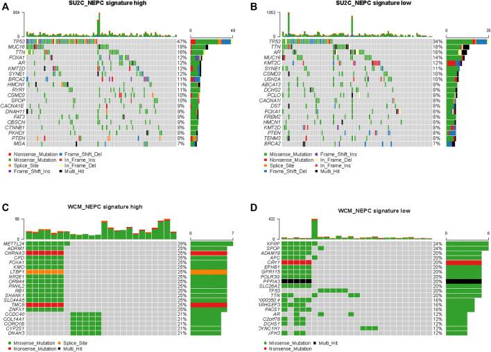 https://cdn.ncbi.nlm.nih.gov/pmc/blobs/770c/8503838/224d58a4f493/pore-27-1609968-g009.jpg