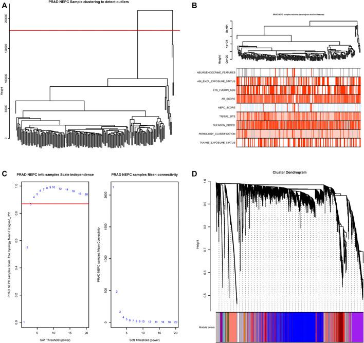 https://cdn.ncbi.nlm.nih.gov/pmc/blobs/770c/8503838/2eebbcf45521/pore-27-1609968-g002.jpg