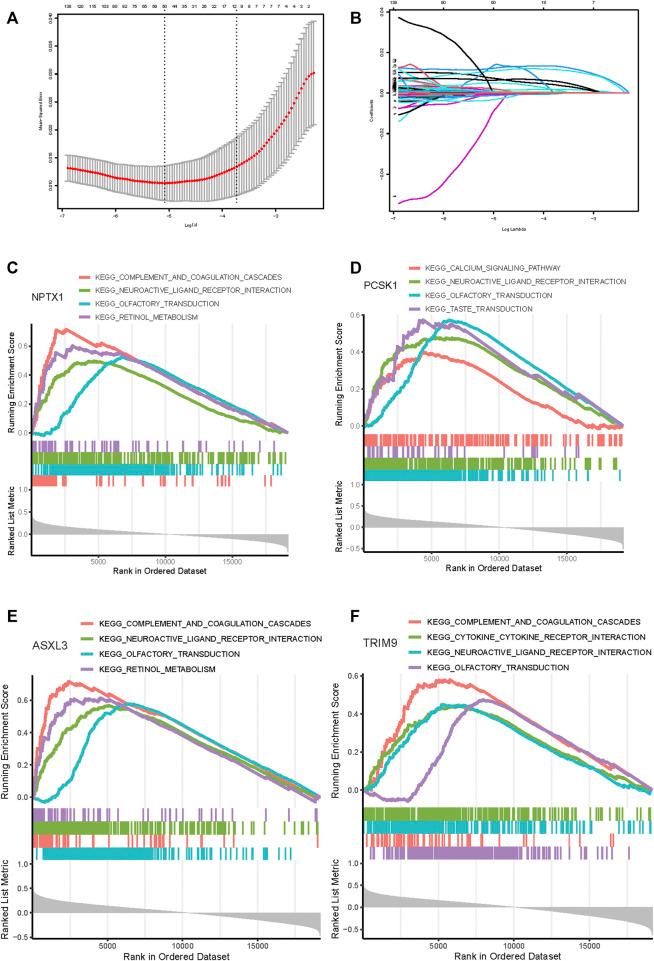 https://cdn.ncbi.nlm.nih.gov/pmc/blobs/770c/8503838/7c23abe07931/pore-27-1609968-g005.jpg