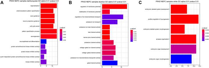 https://cdn.ncbi.nlm.nih.gov/pmc/blobs/770c/8503838/986a5afa1000/pore-27-1609968-g004.jpg