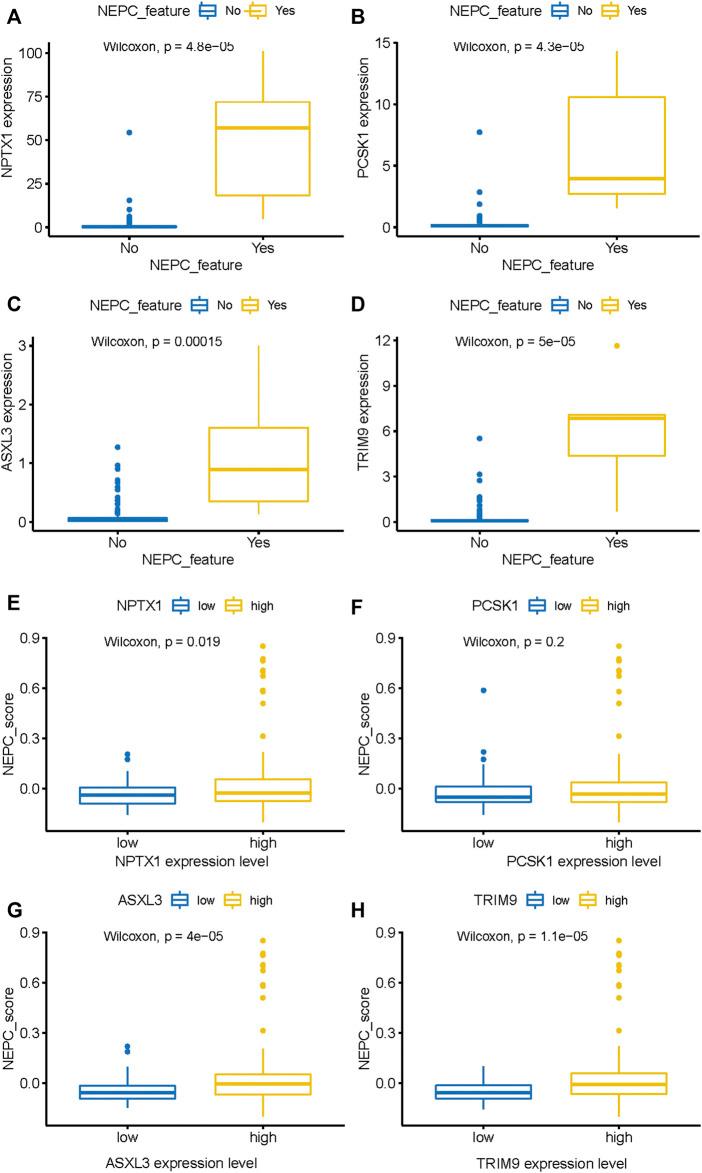 https://cdn.ncbi.nlm.nih.gov/pmc/blobs/770c/8503838/aa999798221a/pore-27-1609968-g006.jpg