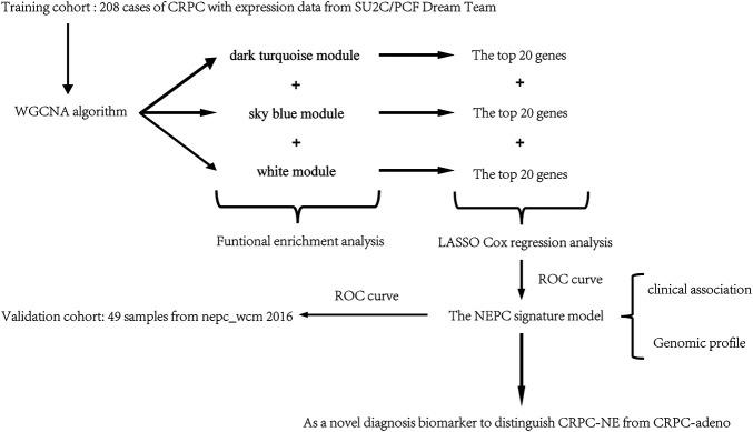 https://cdn.ncbi.nlm.nih.gov/pmc/blobs/770c/8503838/ef8368ea70d9/pore-27-1609968-g001.jpg