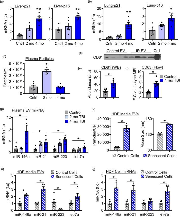 https://cdn.ncbi.nlm.nih.gov/pmc/blobs/770d/7059145/d1bf0ed0b039/ACEL-19-e13103-g005.jpg