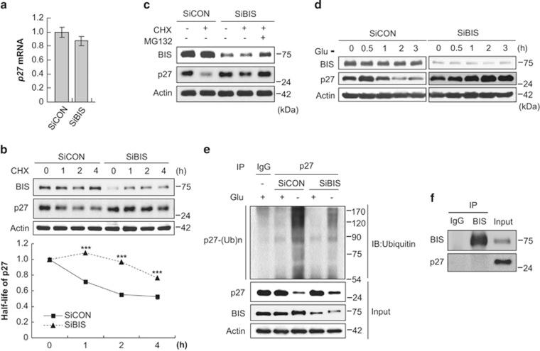 https://cdn.ncbi.nlm.nih.gov/pmc/blobs/7711/4260756/3b7800efb7e8/cddis2014501f3.jpg