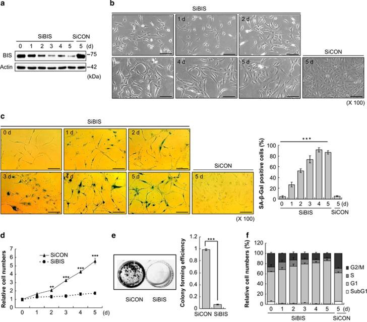https://cdn.ncbi.nlm.nih.gov/pmc/blobs/7711/4260756/a2739ab0f239/cddis2014501f1.jpg