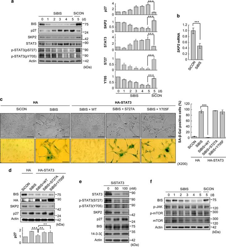 https://cdn.ncbi.nlm.nih.gov/pmc/blobs/7711/4260756/b1389d7545b6/cddis2014501f4.jpg