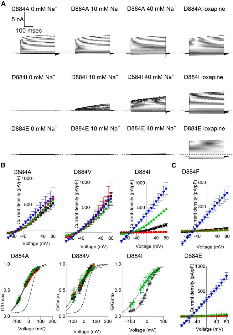 https://cdn.ncbi.nlm.nih.gov/pmc/blobs/7712/11309980/14867479f5db/gr3.jpg