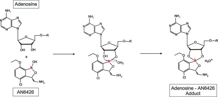 https://cdn.ncbi.nlm.nih.gov/pmc/blobs/7712/5038320/f0187f5cd859/zac0101655270003.jpg