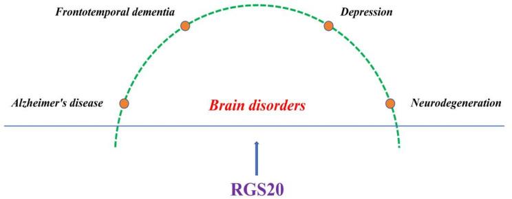 https://cdn.ncbi.nlm.nih.gov/pmc/blobs/7713/11373255/2be315b52b94/12935_2024_3487_Fig6_HTML.jpg