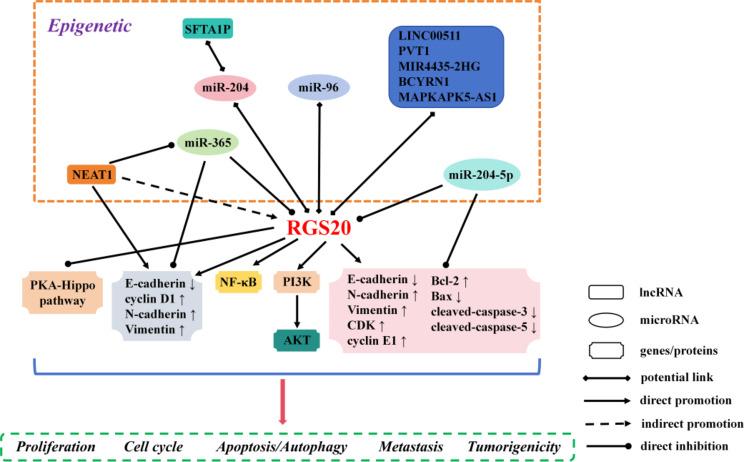 https://cdn.ncbi.nlm.nih.gov/pmc/blobs/7713/11373255/b9d9a0f933ac/12935_2024_3487_Fig4_HTML.jpg