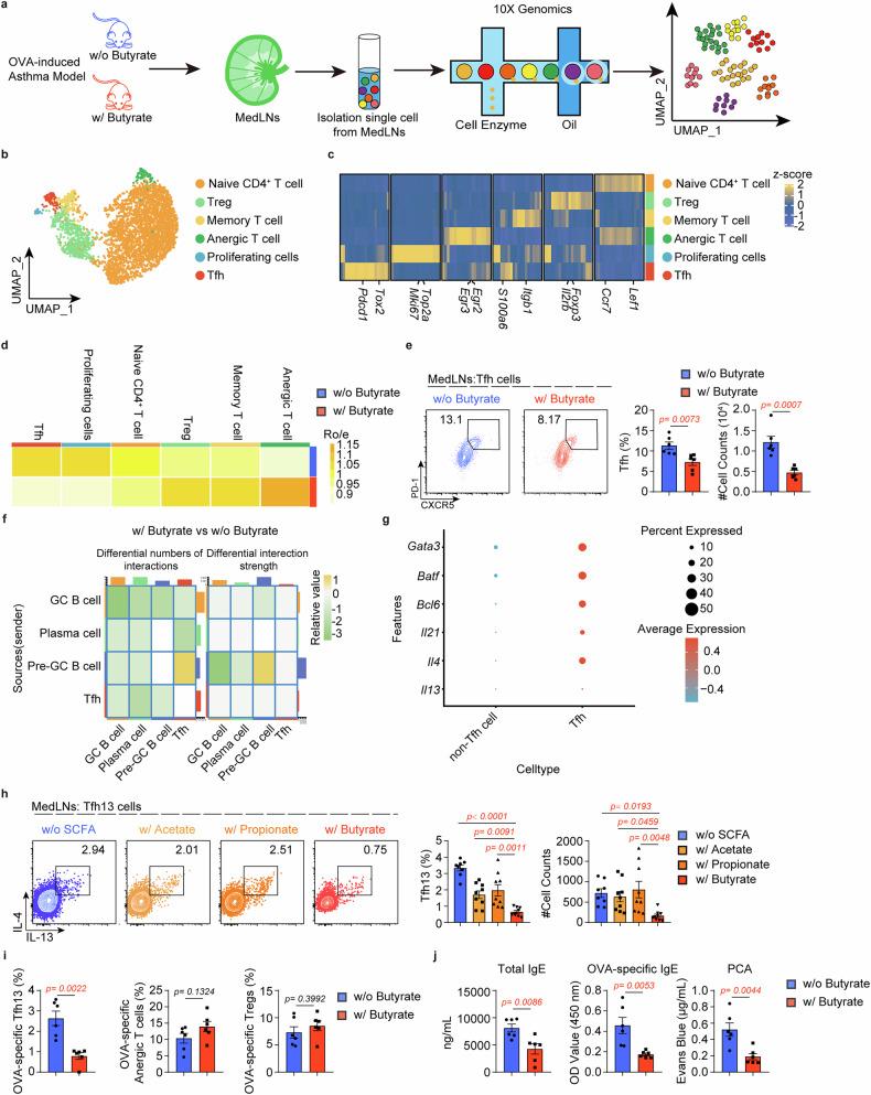 https://cdn.ncbi.nlm.nih.gov/pmc/blobs/7714/12141656/12aec17ea4e5/41392_2025_2263_Fig2_HTML.jpg