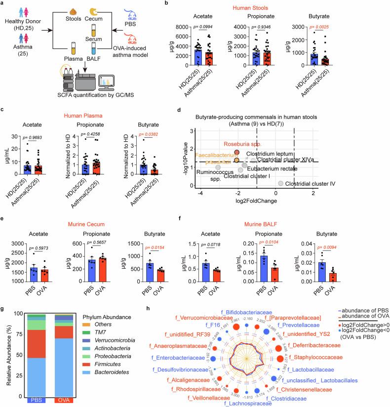 https://cdn.ncbi.nlm.nih.gov/pmc/blobs/7714/12141656/301098b29569/41392_2025_2263_Fig1_HTML.jpg