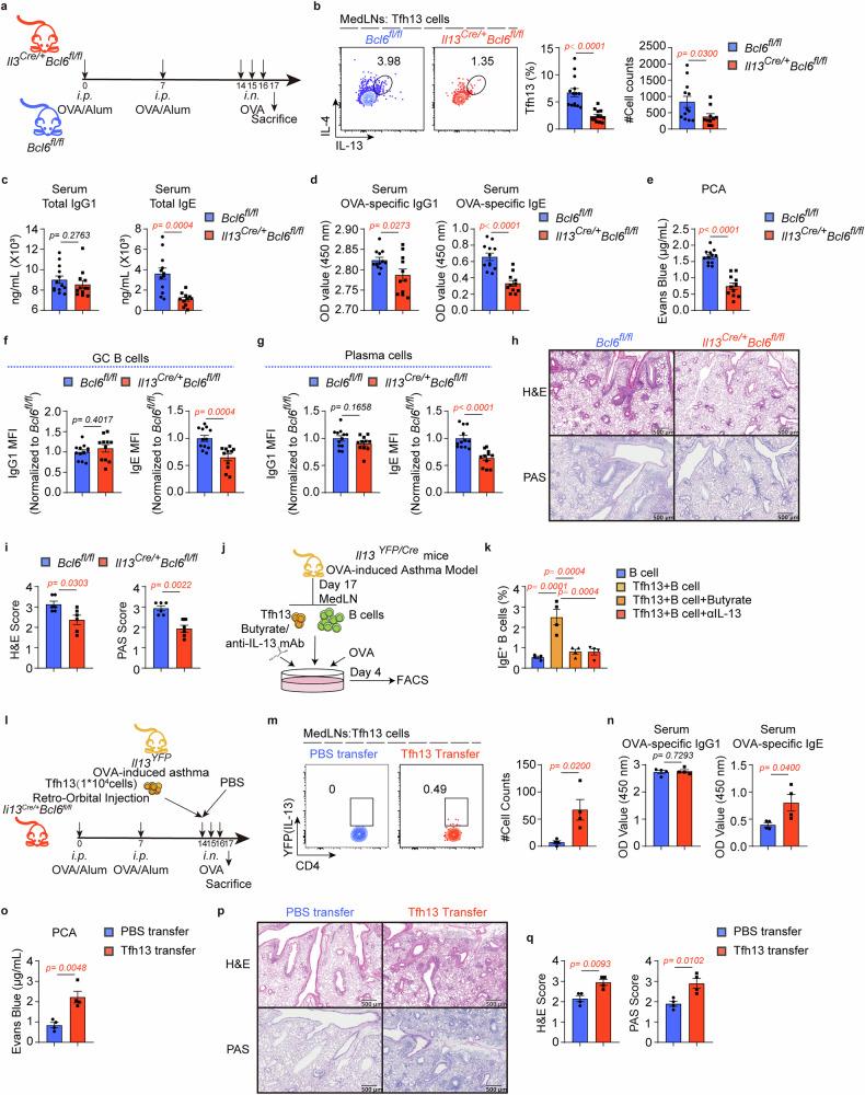 https://cdn.ncbi.nlm.nih.gov/pmc/blobs/7714/12141656/d859e6b37b44/41392_2025_2263_Fig3_HTML.jpg
