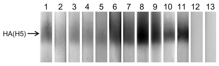 https://cdn.ncbi.nlm.nih.gov/pmc/blobs/7714/3377420/71be3e404e64/10-1604-F1.jpg