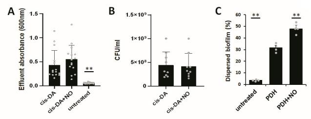 https://cdn.ncbi.nlm.nih.gov/pmc/blobs/7716/10746223/447cca4b1b14/mbio.02570-23.f003.jpg
