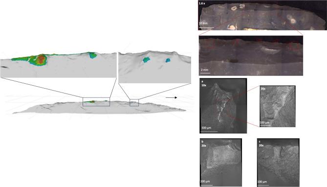 https://cdn.ncbi.nlm.nih.gov/pmc/blobs/7717/11362603/f8735ac297de/41598_2024_70265_Fig1_HTML.jpg
