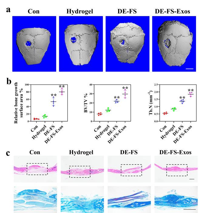 https://cdn.ncbi.nlm.nih.gov/pmc/blobs/7718/9555002/4c0e78e6bb4e/12951_2022_1646_Fig7_HTML.jpg