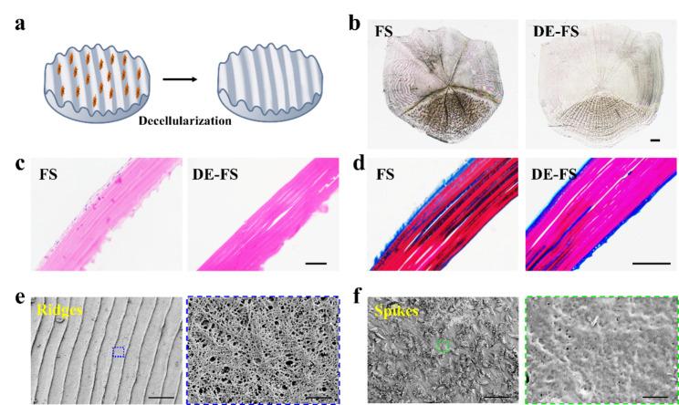 https://cdn.ncbi.nlm.nih.gov/pmc/blobs/7718/9555002/8483ea9f6dcc/12951_2022_1646_Fig2_HTML.jpg