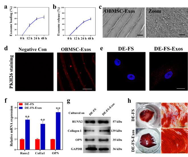 https://cdn.ncbi.nlm.nih.gov/pmc/blobs/7718/9555002/86159b0c8607/12951_2022_1646_Fig6_HTML.jpg