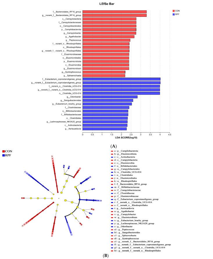 https://cdn.ncbi.nlm.nih.gov/pmc/blobs/7719/11052158/482a0f40cc4e/microorganisms-12-00822-g004.jpg