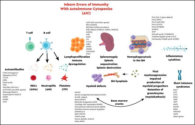 https://cdn.ncbi.nlm.nih.gov/pmc/blobs/7719/7727558/b7d444d13b00/bloodbook-2020-661-absf1.jpg