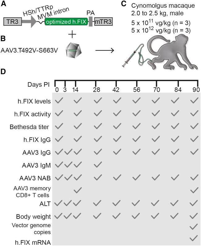 https://cdn.ncbi.nlm.nih.gov/pmc/blobs/771d/8476648/e98b841c6f42/gr1.jpg