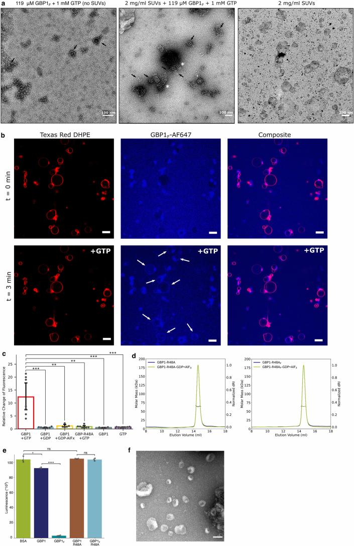 https://cdn.ncbi.nlm.nih.gov/pmc/blobs/771e/11746146/0628d56b64e6/41594_2024_1400_Fig12_ESM.jpg