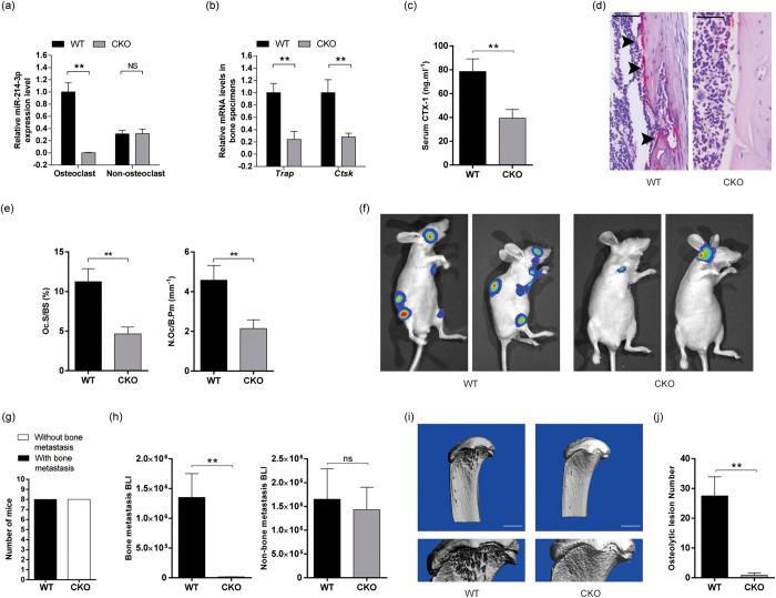https://cdn.ncbi.nlm.nih.gov/pmc/blobs/771f/5223164/c879334ef006/srep40487-f3.jpg