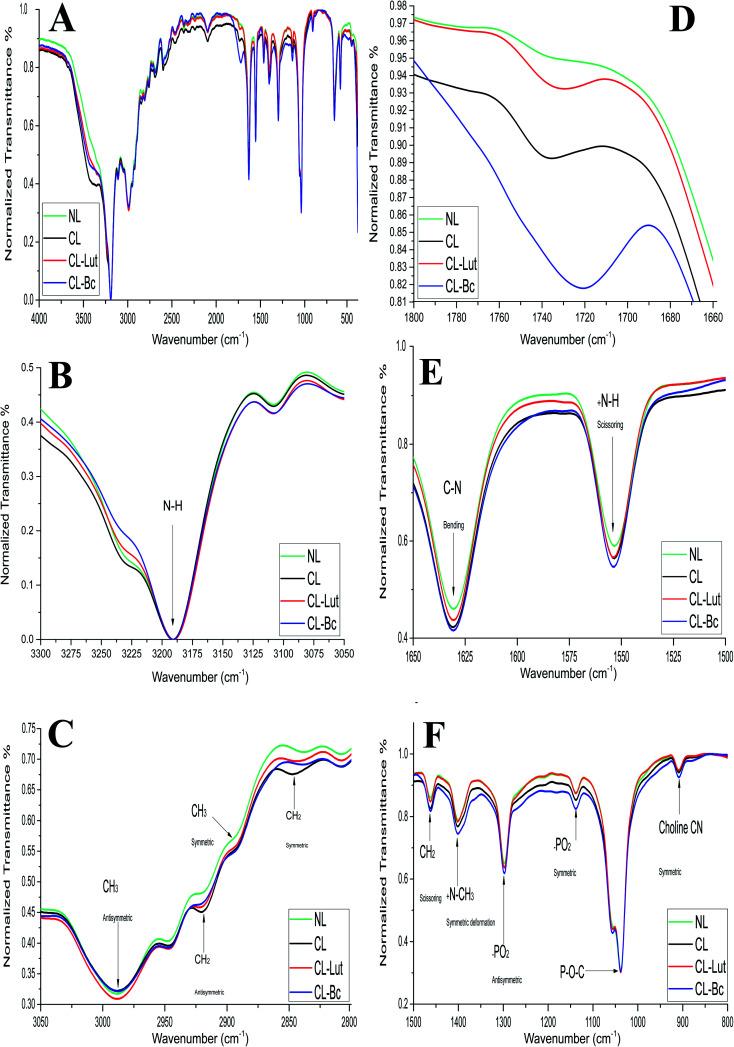 https://cdn.ncbi.nlm.nih.gov/pmc/blobs/7720/9127840/5473d0af0907/d0ra05683a-f7.jpg