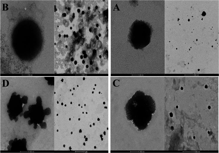 https://cdn.ncbi.nlm.nih.gov/pmc/blobs/7720/9127840/ad36a0b84377/d0ra05683a-f4.jpg