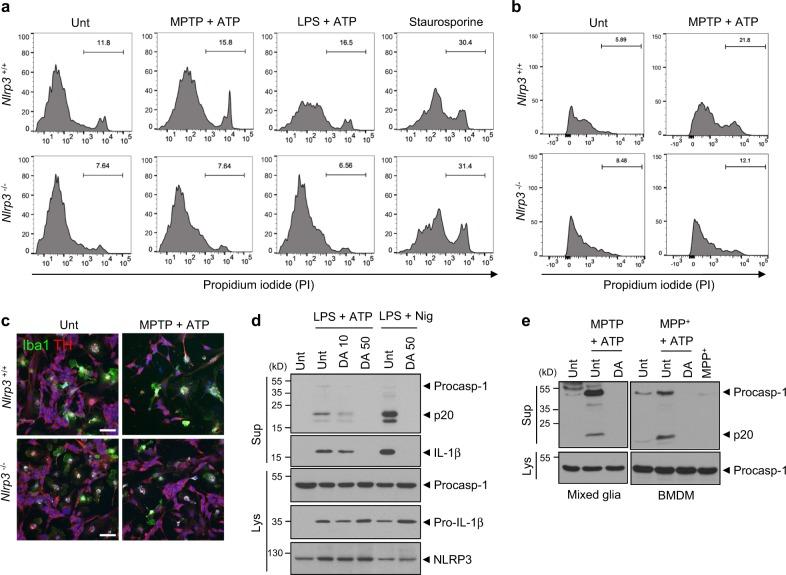 https://cdn.ncbi.nlm.nih.gov/pmc/blobs/7721/6329843/3586a6159087/41418_2018_124_Fig6_HTML.jpg