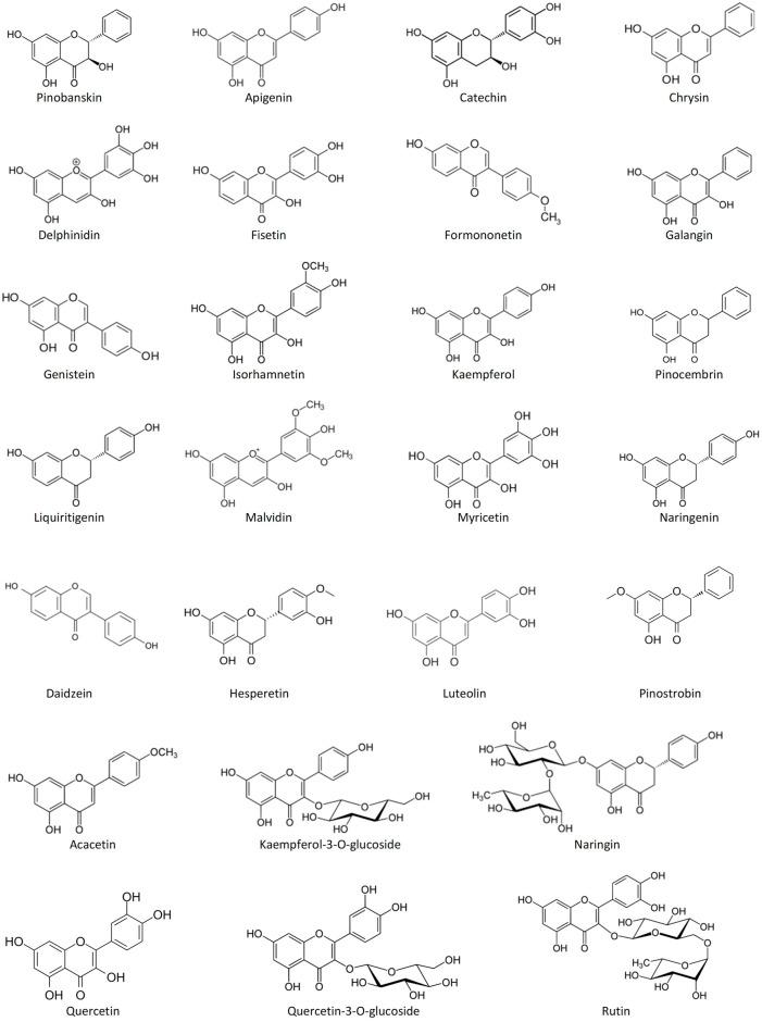 https://cdn.ncbi.nlm.nih.gov/pmc/blobs/7723/9035631/a9551216af49/fmolb-09-865833-g002.jpg
