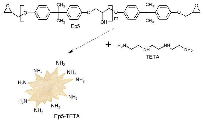 https://cdn.ncbi.nlm.nih.gov/pmc/blobs/7724/8659503/54d2248a51f3/polymers-13-04139-g002.jpg