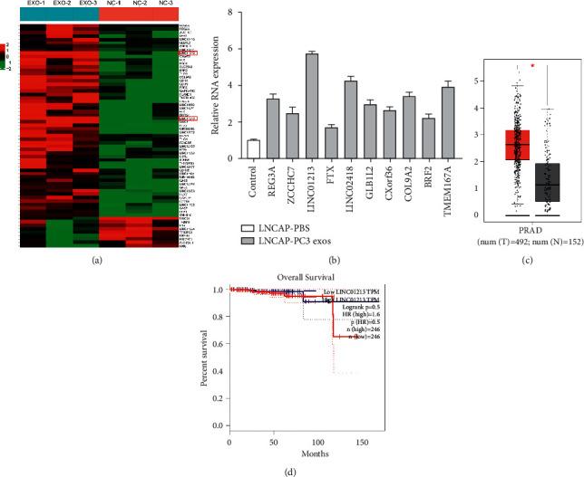 https://cdn.ncbi.nlm.nih.gov/pmc/blobs/7725/8930242/f67cc6f45921/JO2022-8058770.004.jpg