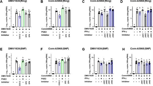 https://cdn.ncbi.nlm.nih.gov/pmc/blobs/7726/11619240/4cbd3b78ad04/spectrum.00407-24.f003.jpg