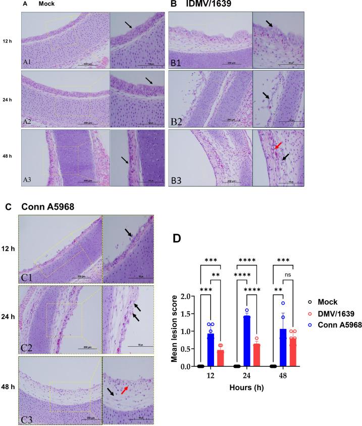 https://cdn.ncbi.nlm.nih.gov/pmc/blobs/7726/11619240/664592589fad/spectrum.00407-24.f002.jpg