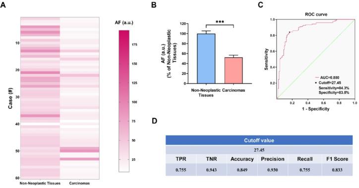 https://cdn.ncbi.nlm.nih.gov/pmc/blobs/7729/12287290/ba7d48395175/41598_2025_12053_Fig3_HTML.jpg