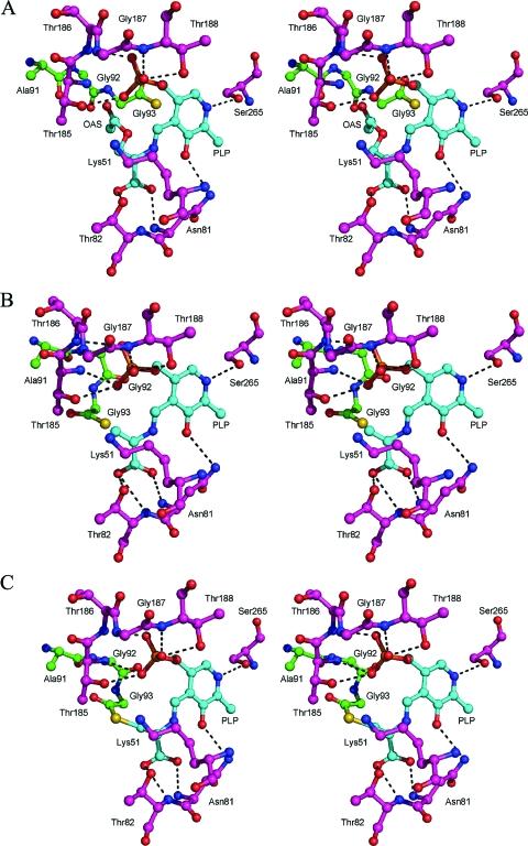 https://cdn.ncbi.nlm.nih.gov/pmc/blobs/7729/2646873/099841c18993/bi-2008-00915j_0007.jpg
