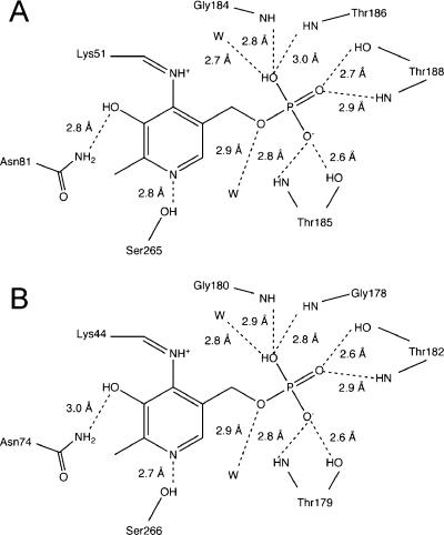 https://cdn.ncbi.nlm.nih.gov/pmc/blobs/7729/2646873/2868f6b82fff/bi-2008-00915j_0004.jpg