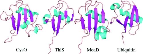 https://cdn.ncbi.nlm.nih.gov/pmc/blobs/7729/2646873/ac206c621c51/bi-2008-00915j_0005.jpg