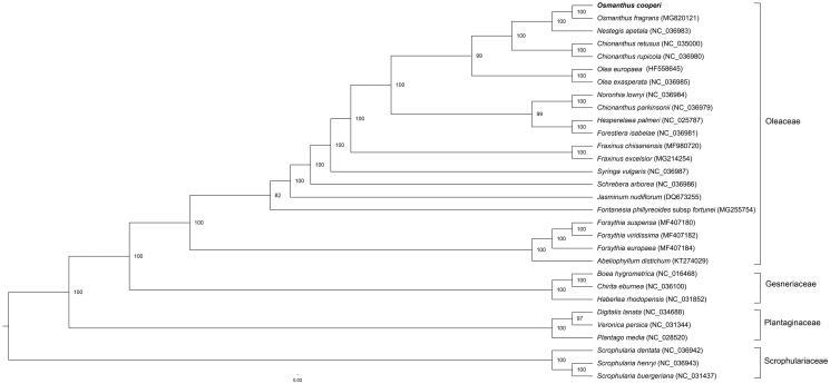 https://cdn.ncbi.nlm.nih.gov/pmc/blobs/7729/7687408/423f2889a9d4/TMDN_A_1627951_F0001_B.jpg