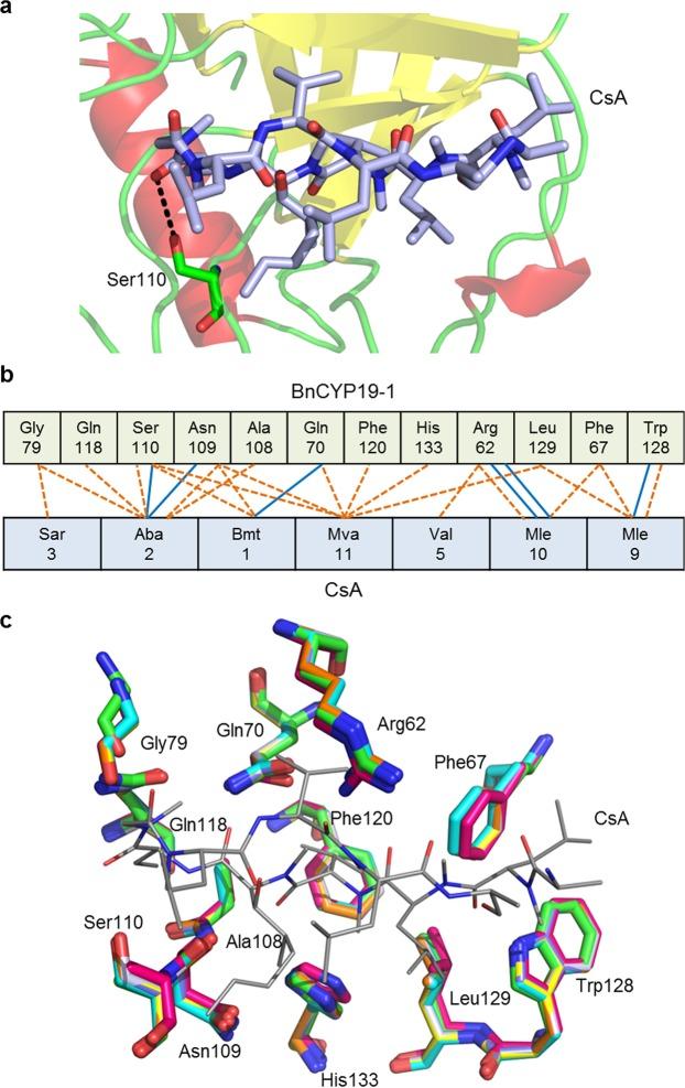 https://cdn.ncbi.nlm.nih.gov/pmc/blobs/772a/6597583/42f4a39a1f3a/41598_2019_45856_Fig6_HTML.jpg