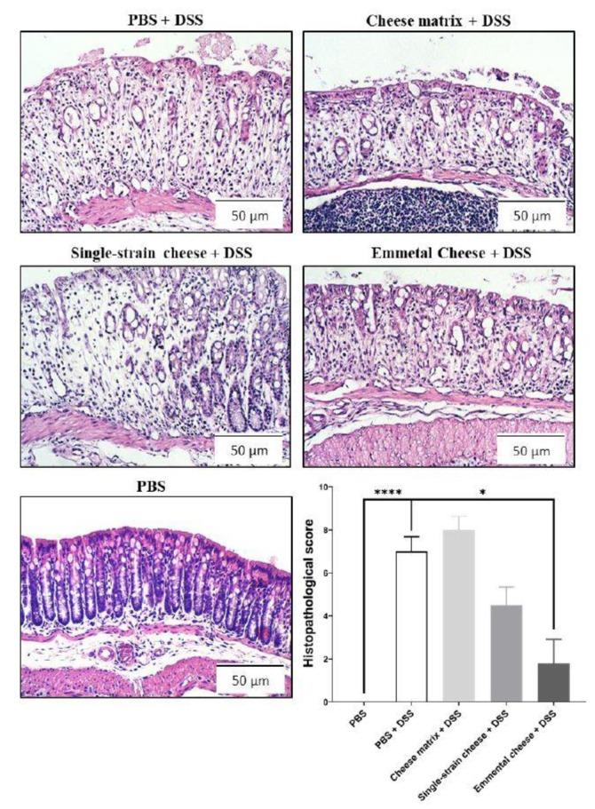 https://cdn.ncbi.nlm.nih.gov/pmc/blobs/772a/7142753/ab276b3e4d1e/microorganisms-08-00380-g004.jpg