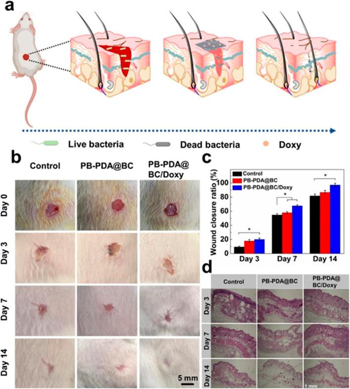 https://cdn.ncbi.nlm.nih.gov/pmc/blobs/772c/11997669/4c19770251b4/d5ra00521c-f13.jpg