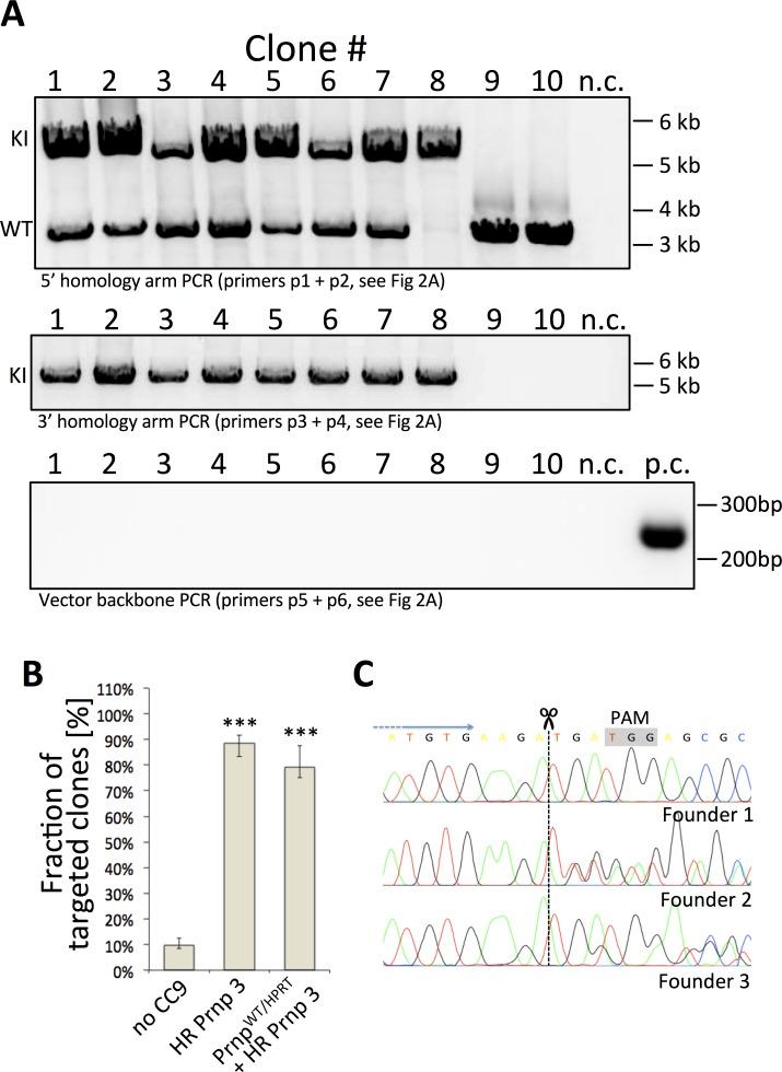 https://cdn.ncbi.nlm.nih.gov/pmc/blobs/7730/4851410/68dde08d96dc/pone.0154604.g003.jpg