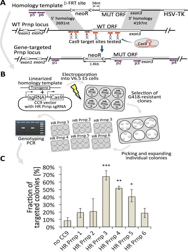 https://cdn.ncbi.nlm.nih.gov/pmc/blobs/7730/4851410/aea1baca764b/pone.0154604.g002.jpg