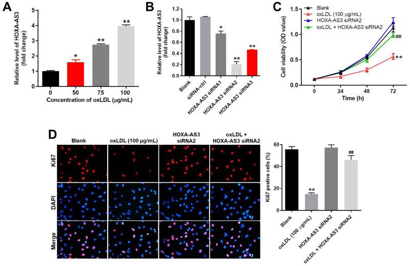 https://cdn.ncbi.nlm.nih.gov/pmc/blobs/7730/7490108/e1f6e8b68a34/DDDT-14-3651-g0001.jpg
