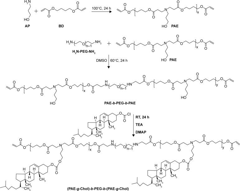 https://cdn.ncbi.nlm.nih.gov/pmc/blobs/7731/5367585/0a50d56f87cd/ijn-12-2215Fig2.jpg