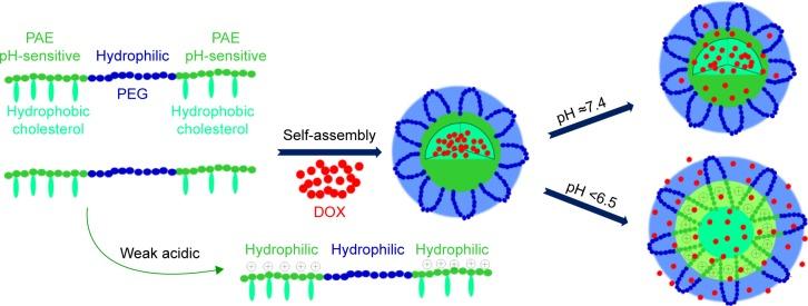 https://cdn.ncbi.nlm.nih.gov/pmc/blobs/7731/5367585/629b684614b3/ijn-12-2215Fig1.jpg