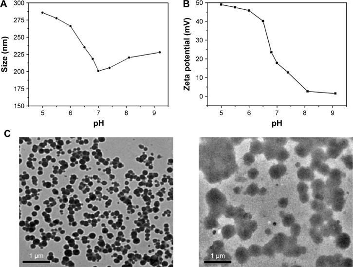 https://cdn.ncbi.nlm.nih.gov/pmc/blobs/7731/5367585/e57075b3bc5c/ijn-12-2215Fig6.jpg